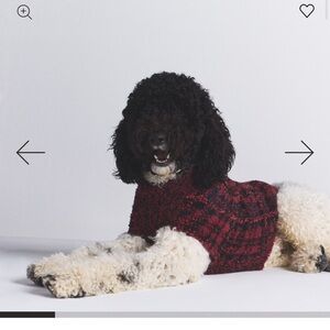 Skims cozy pet sweater